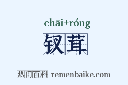 钗茸是什么意思的图片